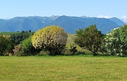 Nay, Pyrénées-Atlantiques 64800