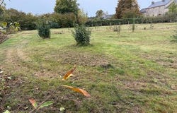 Angrie, Pays de la Loire 49440