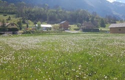 Dévoluy, Provence-Alpes-Côte d'Azur 05250