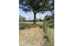 saint benoit sur loire, Centre 45730