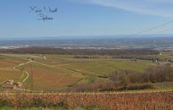 LEYNES, Bourgogne 71570