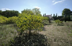 Uzès, Occitanie 30700