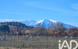 Estagel, Occitanie 66310