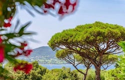 Gassin, Provence-Alpes-Côte d'Azur 83580