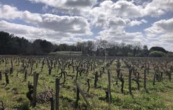 Queyrac, Aquitaine 33340