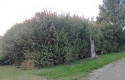 Vescheim, Grand Est 57370