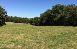 Parisot, Tarn-et-Garonne 82160