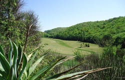 Masseube, Midi-Pyrénées 32140