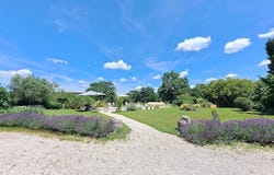 La Romieu, Occitanie 32480