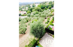 Grasse, Provence-Alpes-Côte d'Azur 06130