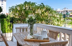 Nice, Provence-Alpes-Côte-d'Azur 06000