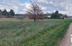 Sassay, Centre-Val de Loire 41700
