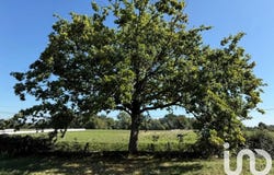 Villeneuve-de-Rivière, Occitanie 31800