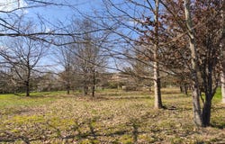 NEGREPELISSE, Occitanie 82800