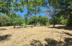 Rouffiac-Tolosan, Haute-Garonne 31180