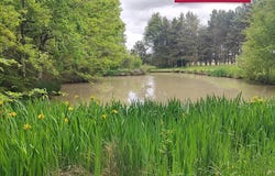 Mignaloux-Beauvoir, Vienne 86550