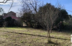 Azille, Occitanie 11700