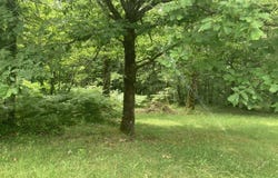 Segonzac, Aquitaine 24600