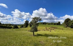 Saint Dizier Masbaraud, Limousin 23400