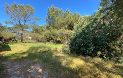 VENDAYS MONTALIVET, Nouvelle-Aquitaine 33930
