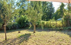 Les Thons, Vosges 88410