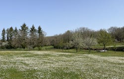 Martel, Midi-Pyrénées 46600