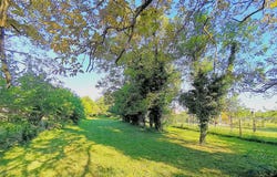 Artolsheim, Alsace 67390