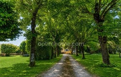 Muret, Midi-Pyrénées 31600