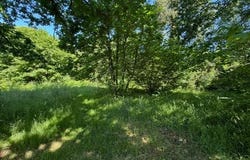 Pluherlin, Bretagne 56220