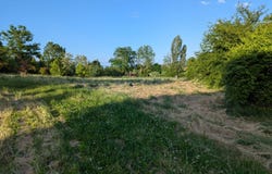 Marcilly-le-Châtel, Rhône-Alpes 42130