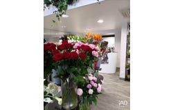 TOURS, Centre-Val de Loire 37000