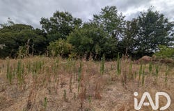Challans, Pays de la Loire 85300