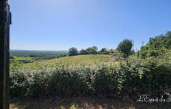 Parisot, Midi-Pyrénées 81310