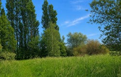 Coulogne, Hauts-de-France 62137