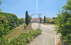 Sainte-Cécile-les-Vignes, Provence-Alpes-Côte d'Azur 84290