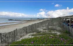 Frontignan, Languedoc-Roussillon 34110