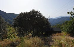 Saint-Roman-de-Codières, Languedoc-Roussillon 30440