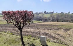 Bonnut, Nouvelle-Aquitaine 64300