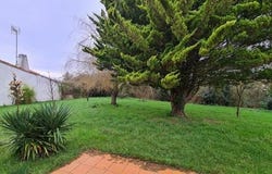 Le Perrier, Pays de la Loire 85300
