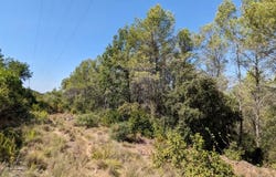 Carcès, Var 83570