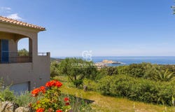 Monticello, Corsica 20220