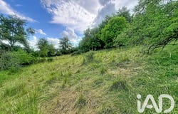 Polignac, Auvergne-Rhône-Alpes 43000