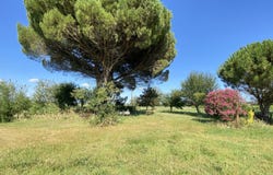 Chenac-Saint-Seurin-d'Uzet, Poitou-Charentes 17120
