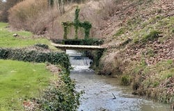 Neuvy Le Roi, Centre-Val de Loire 37370
