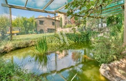 Montauroux, Provence-Alpes-Côte-d'Azur 83440