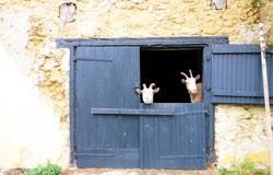 Masseube, Midi-Pyrénées 32140
