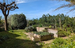 Aramon, Languedoc-Roussillon 30390