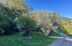 Alès, Languedoc-Roussillon 30100