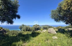 Corbara, Corsica 20256