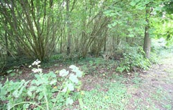 Mouy, Oise 60250